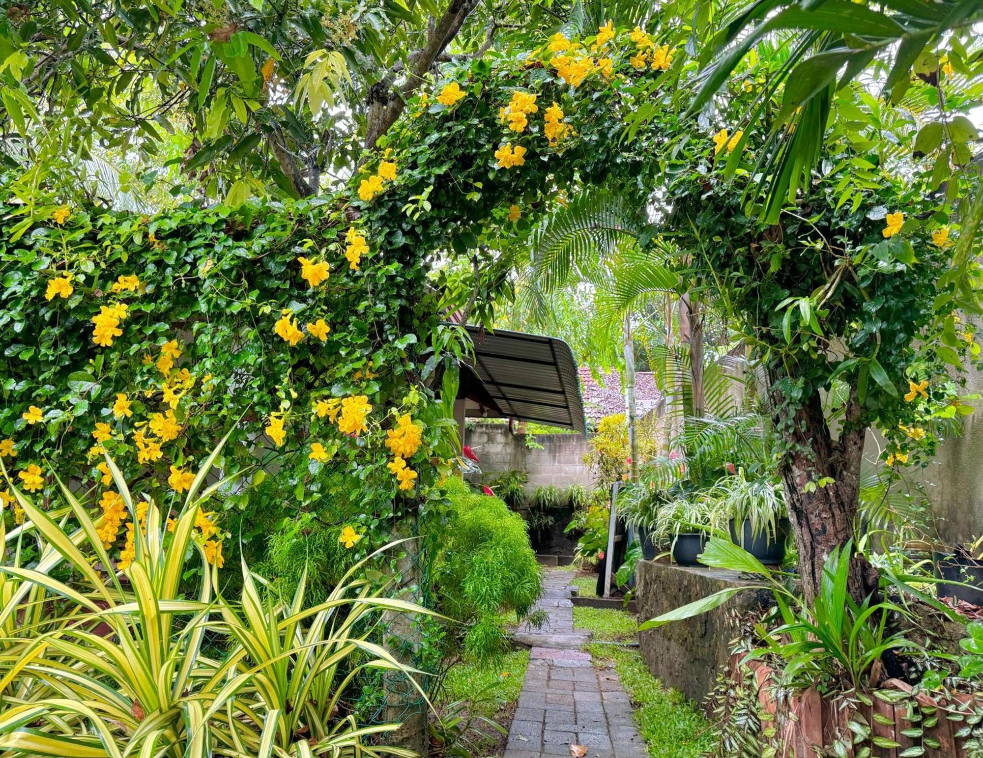 Nethmi Homestay & Restaurant Tangalle Ngoại thất bức ảnh