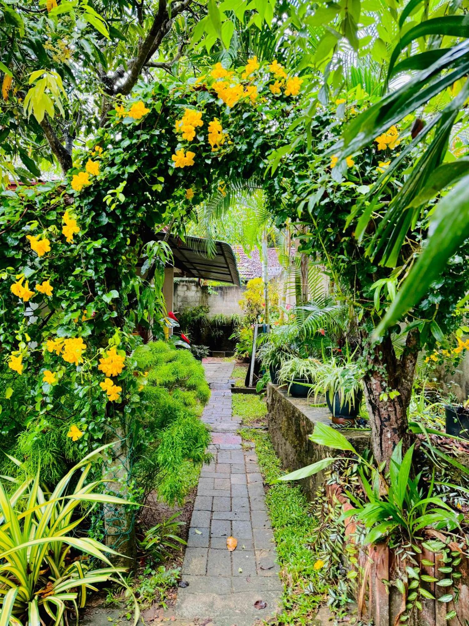 Nethmi Homestay & Restaurant Tangalle Ngoại thất bức ảnh