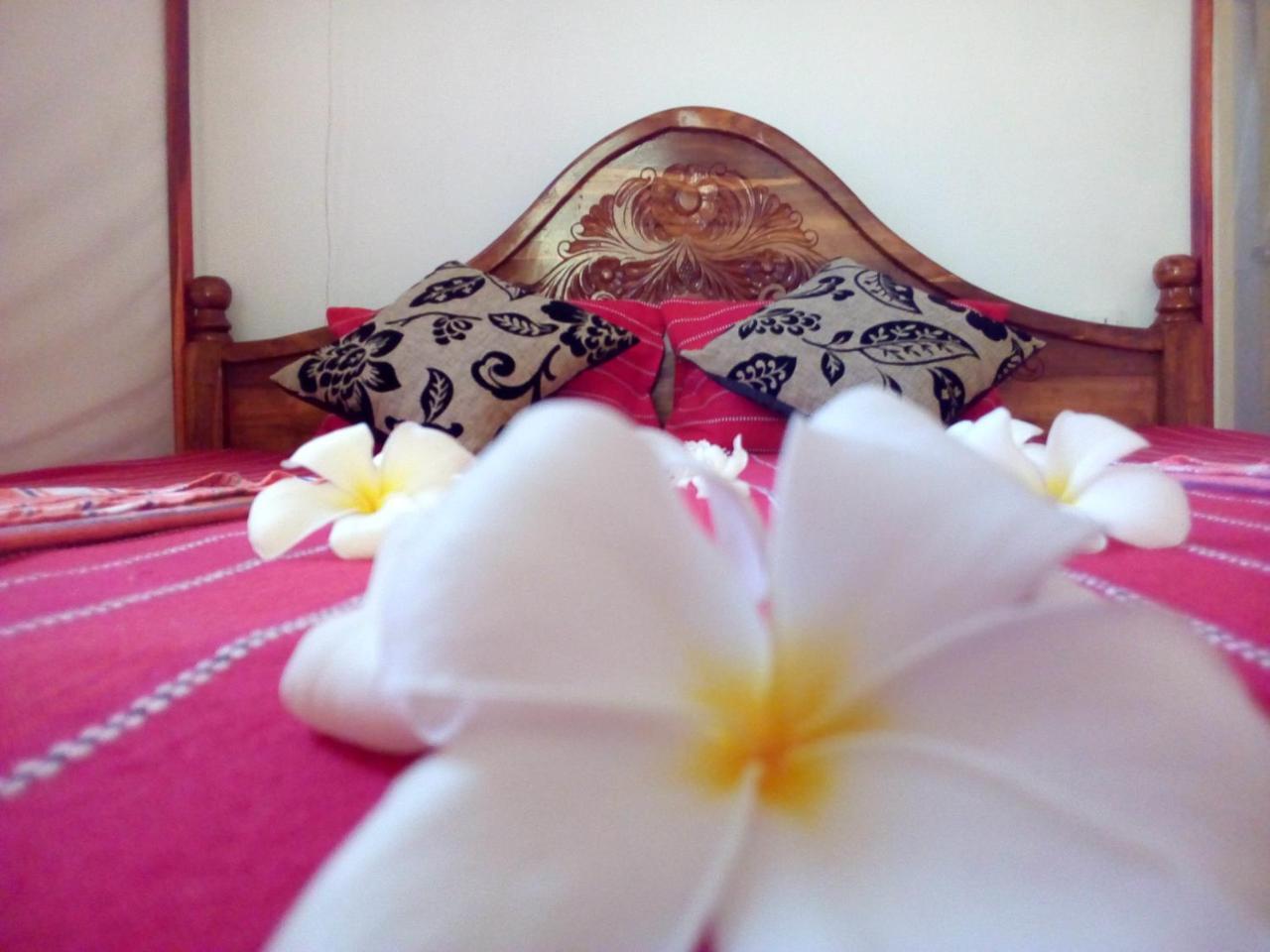 Nethmi Homestay & Restaurant Tangalle Ngoại thất bức ảnh